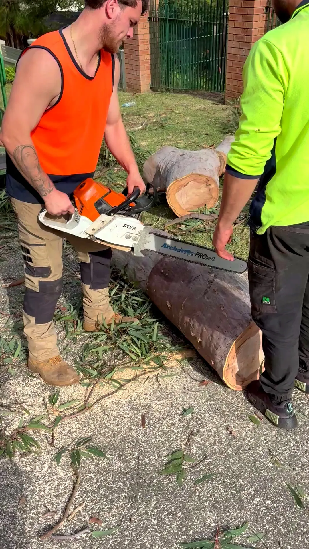 Two of the crew cutting a trunk into rounds on the driveway