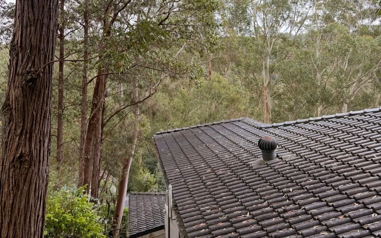 Limbs reaching out over the tiled roof before the clearance